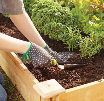 Raised Garden Mix