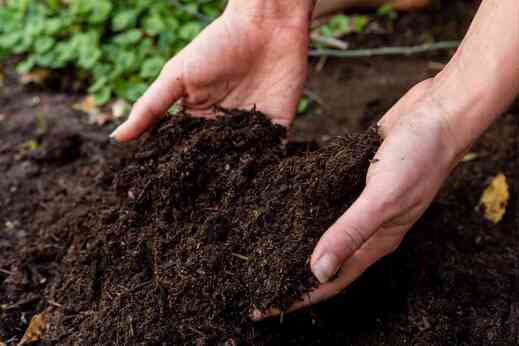 Garden topsoil with hands