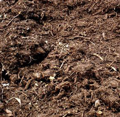 manure soil