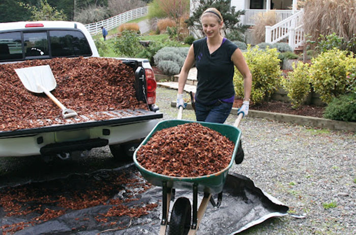 women with a wheelbarrow full of mulch in Minnesota